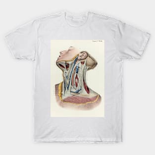 Neck fascia, 1866 illustration (C042/4634) T-Shirt